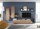 Bota Wall Unit in Grey/Ribbec Oak