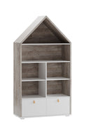 Domini 01 Bookcase With Drawers