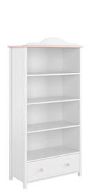 Luna LN-02 Bookcase Cabinet