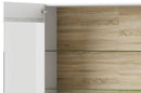 Ice 02 - 2 Door Display Cabinet in White and Oak Sonoma